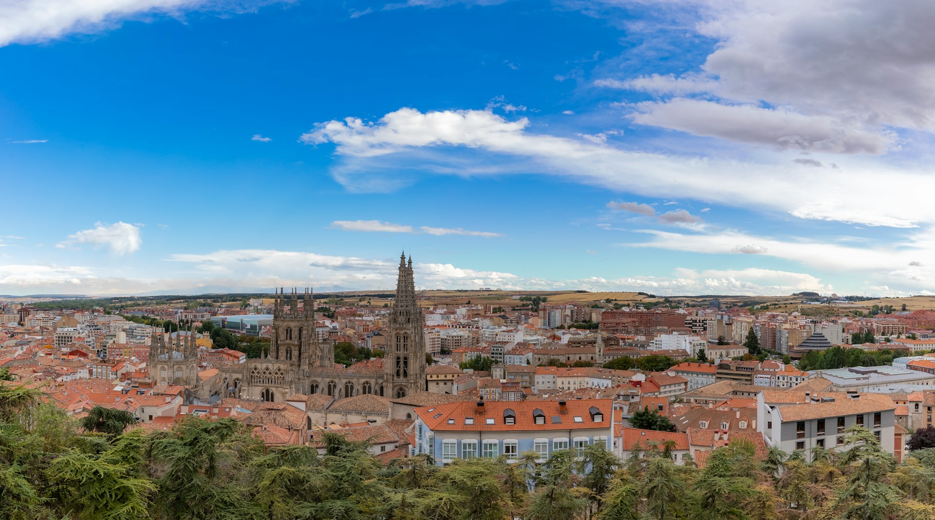 Chófer privado y VTC premium en Burgos